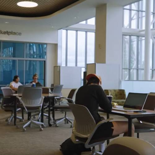 students studying in open area in library